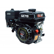 Двигатель бензиновый GE719