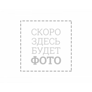 Мотоблок  бензиновый BR-135GDHPRO