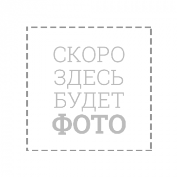 Двигатель бензиновый 2х тактный DM-581 Двигатель бензиновый 2х тактный DM-581