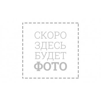 Двигатель бензиновый BR465PE7A Двигатель бензиновый BR465PE7A