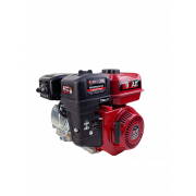 Двигатель бензиновый BR220PR207A PRO
