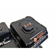 Двигатель бензиновый BR235SP19 PRO