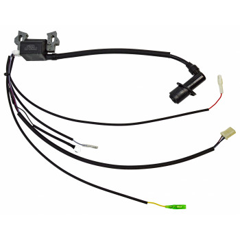 Катушка зажигания генератора BR5000iOEL/BR5000i